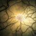 why the brain loves patterns in thoughts